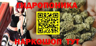 прущие крисы Вязьма
