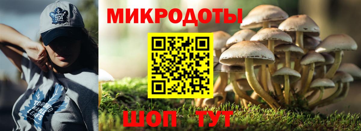 Всеволожск  Псилоцибиновые грибы MAGIC MUSHROOMS  Вход с VPN  Галлюциногенные грибы мухоморы 